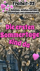 Freiheit-22 Stylische, warme, weiche Damenmode in Mettmann Das Video zeigt eine Auswahl meiner zusammengestellten Outfits von April 2025 - Titel : Die Sommertage kommen. ich freue mich auf euren Besuch. Liebe Grüße Aynur #mode #mettmann #fashion #boutique #modefreiheit #mettmanncity #shopmettmann #modenschau #aimodel #kimodel