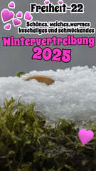 Freiheit-22 Stylische, warme, weiche Damenmode in Mettmann Das Video zeigt eine Auswahl meiner zusammengestellten Outfits von Februar 2025 - Titel : Winter-Sale. ich freue mich auf euren Besuch. Liebe Grüße Aynur #mode #mettmann #fashion #boutique #modefreiheit #mettmanncity #shopmettmann #modenschau #aimodel #kimodel